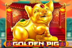 Golden_Pig