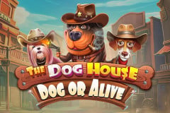 The_Dog_House:_Dog_or_Alive